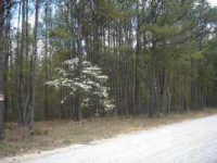 0 Tyson Road Tract A, Villa Rica, GA 30180 