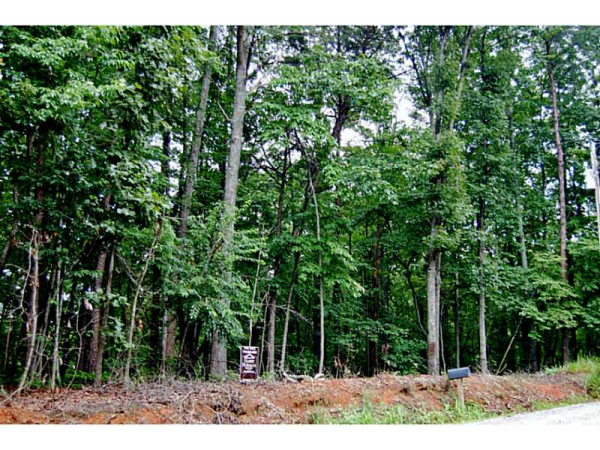 48 Ridge Road, Dawsonville, GA 30534 