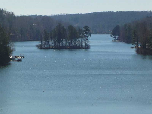 163 Lone Bear Drive, Waleska, GA 30183 