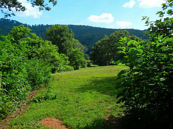 0 000 Sutton Road, Jasper, GA 30143 