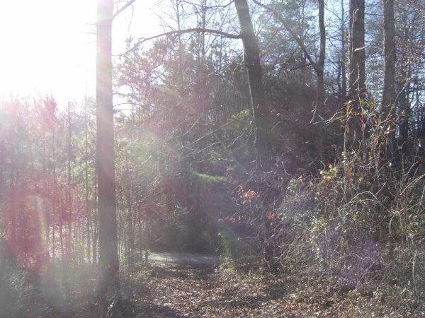 0 Bates Lane, Acworth, GA 30102 