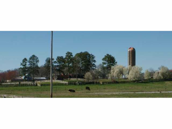 175 Hammond Road Se, Calhoun, GA 30703 