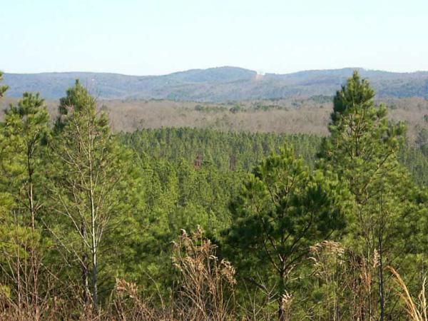 1 Townsend Teague Road, Rydal, GA 30171 