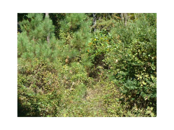 5160 Covington Highway, Decatur, GA 30035 