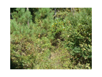 5160 Covington Highway, Decatur, GA 30035 