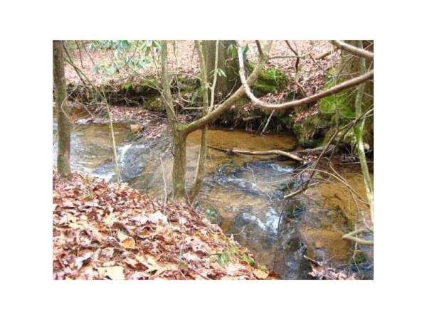 5555 Black Bear Trail, Big Canoe, GA 30143 