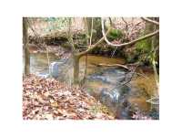 5555 Black Bear Trail, Big Canoe, GA 30143 