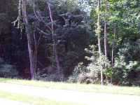 1080 Mid Broadwell Road, Alpharetta, GA 30004 