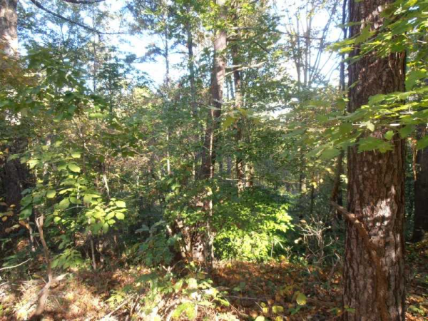 372 Blue Ridge Overlook, Dawsonville, GA 30534 