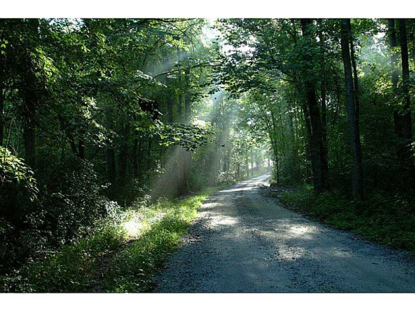 0 Bethel Road, Newnan, GA 30263 