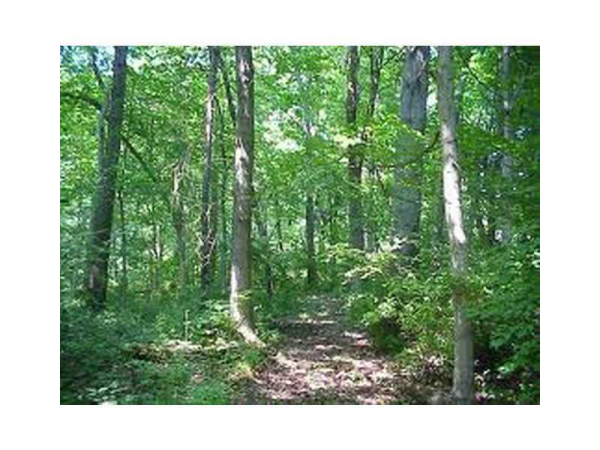 7024 Monument Falls, Jasper, GA 30143 