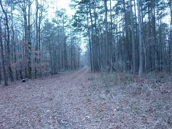 4700 Cobb Griffin Road, Gillsville, GA 30543 