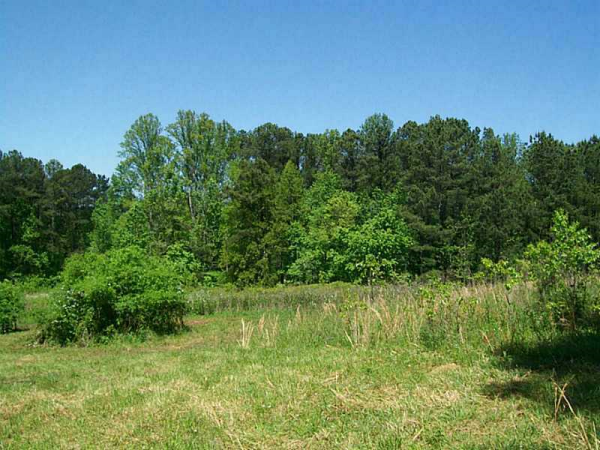 410 Mile Branch Road, Canton, GA 30114 