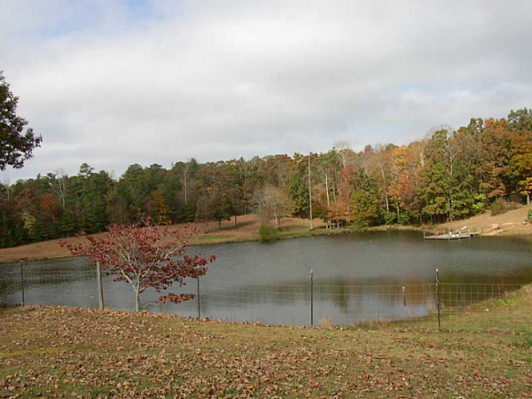 0 W Carroll Road, Whitesburg, GA 30185 