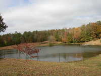 0 W Carroll Road, Whitesburg, GA 30185 