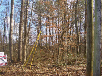 0 Amanda Lane, Cumming, GA 30040 