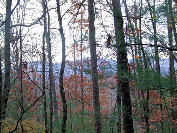 0 Paradise Valley Road, Cleveland, GA 30528 