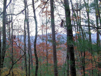 0 Paradise Valley Road, Cleveland, GA 30528 