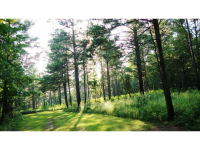 1539 Bear Creek Lot 5 Road, Moreland, GA 30259 