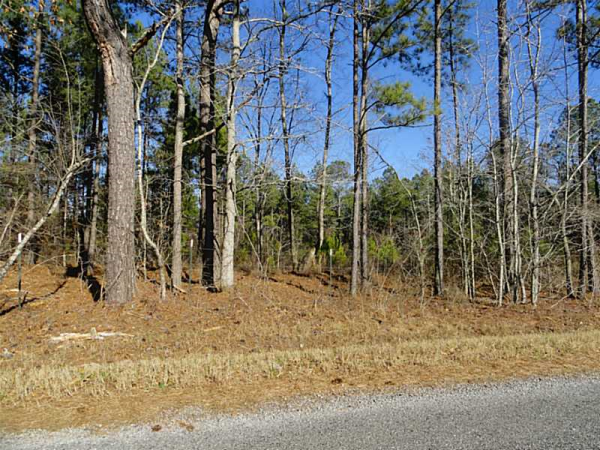 0 Baskin Road, Temple, GA 30179 