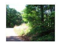 0 Halls Mill Road, Dahlonega, GA 30533 