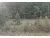 0 Ga Hwy 120, Tallapoosa, GA 30176 