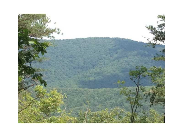 308 Camp Wahsega Road, Dahlonega, GA 30533 