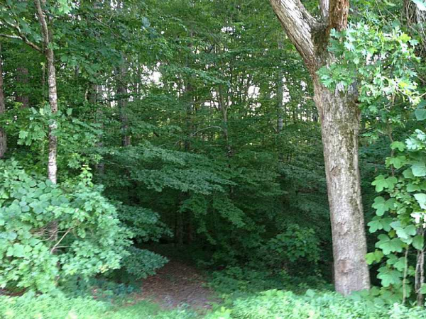 0 Aj Land Road, Canton, GA 30115 