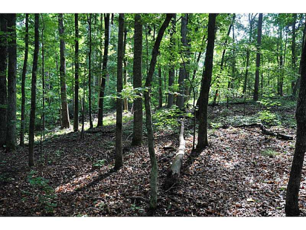 6532 Old Whelchel Road, Dahlonega, GA 30533 