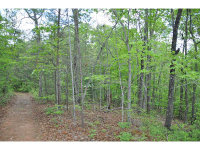 450 Charlie Lemley Road, Dawsonville, GA 30534 