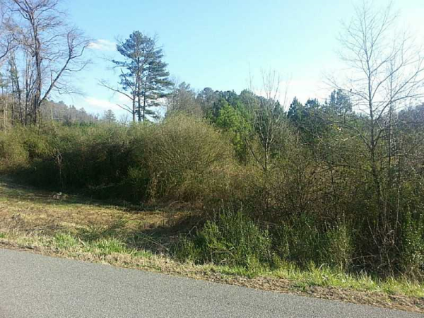 0 Arizona Street, Emerson, GA 30137 