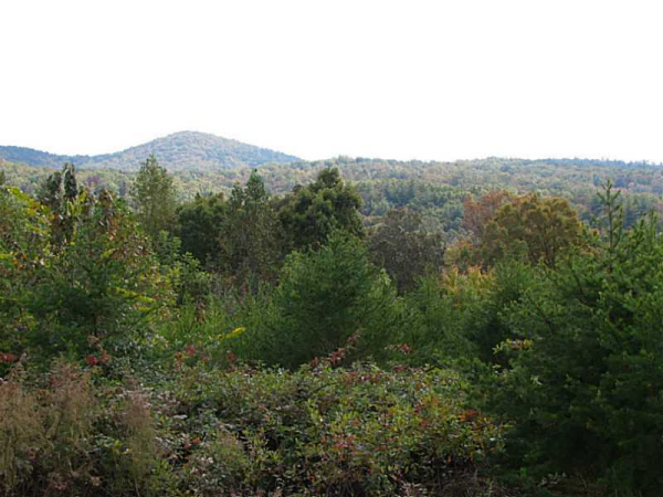 500 Neverland Trail, Cleveland, GA 30528 