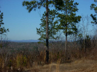 2 Townsend Teague Road, Rydal, GA 30171 