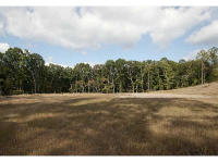 6019 Ben Parks Road, Murrayville, GA 30564 