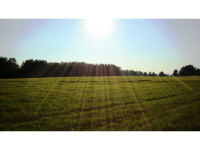 1539 Bear Creek Lot 7 Road, Moreland, GA 30259 