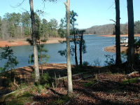 0 War Hill Park Road, Dawsonville, GA 30534 