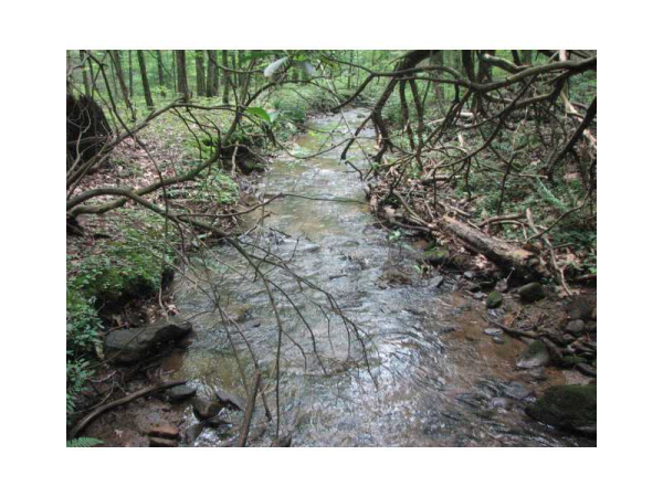 42 Camp Wahsega Road, Dahlonega, GA 30533 