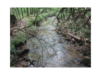 42 Camp Wahsega Road, Dahlonega, GA 30533 