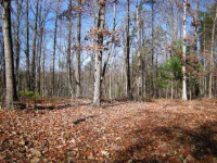 0 Grindle Bridge Road, Dahlonega, GA 30533 