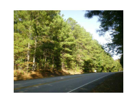 1239 Highpoint Road, Snellville, GA 30078 