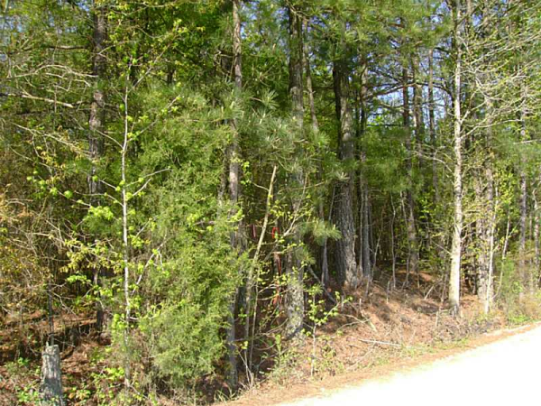 0 Old Hightower Trail, Loganville, GA 30052 