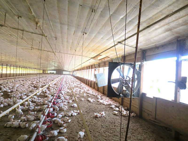 1063 Herrington Bend Road, Calhoun, GA 30701 