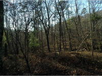 0 Auraria Road, Dawsonville, GA 30534 