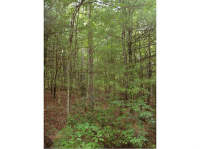 0 Howser Mill Place, Dawsonville, GA 30534 