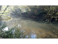 0 Brandy Mountain Road, Dahlonega, GA 30533 