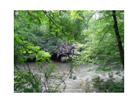 0 Little Hawk Road, Sautee, GA 30571 