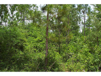 0 Tobacco Trail, Soperton, GA 30457 