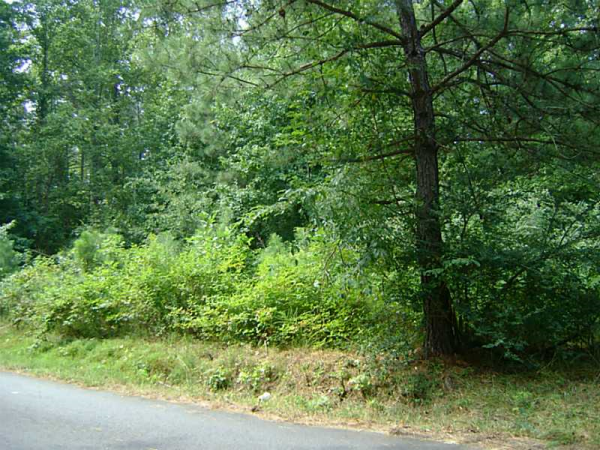 59 Earwood Path, Dallas, GA 30132 