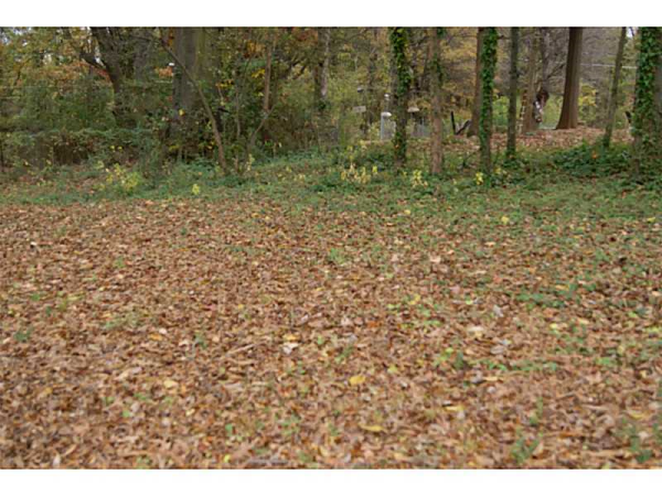 3188 Zion Street, Scottdale, GA 30079 