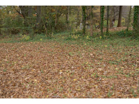 3188 Zion Street, Scottdale, GA 30079 